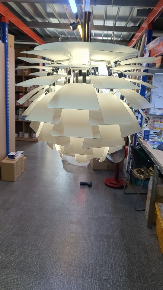 Resized_Resized_20230206_131317